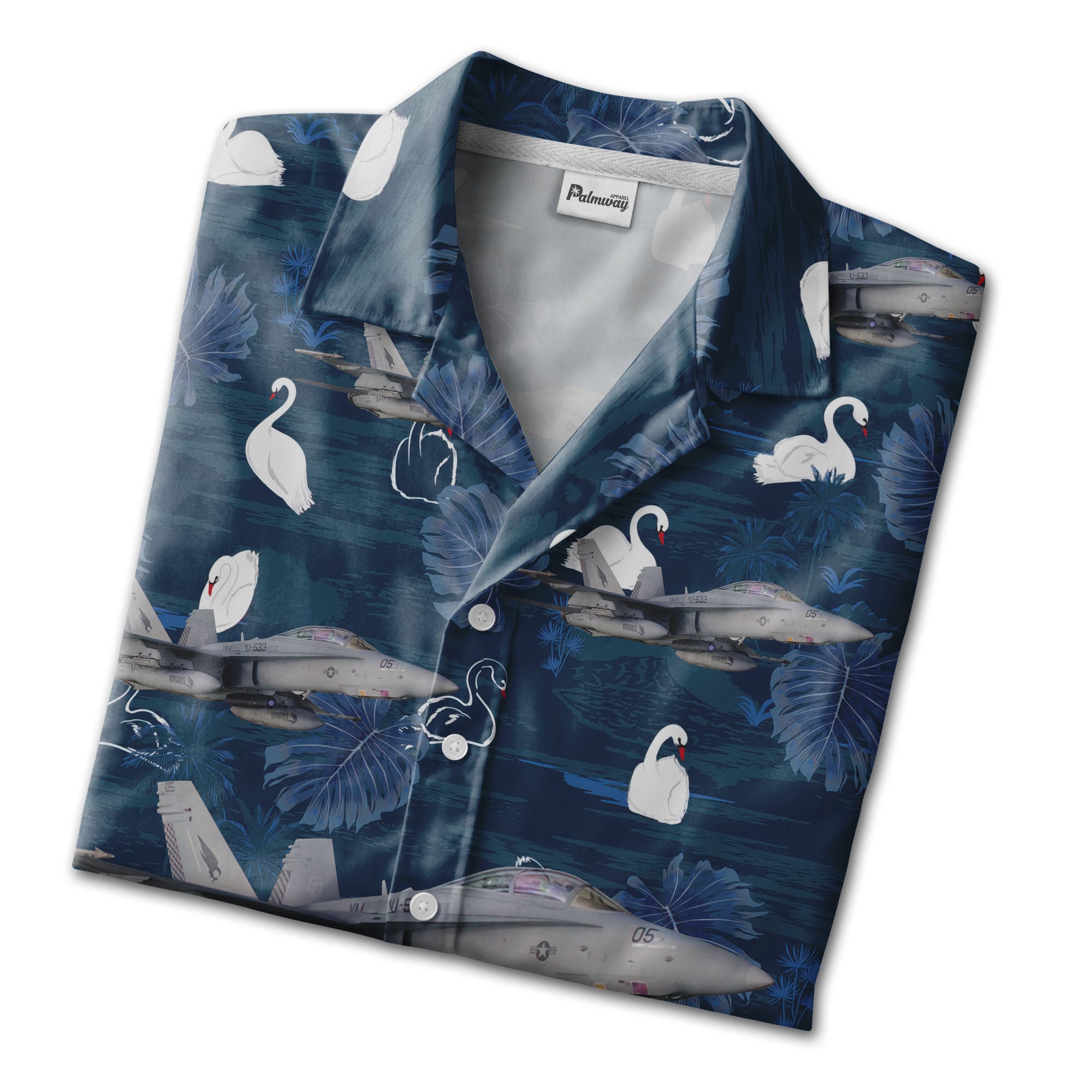 Distinguished US Marine Corps F-18D Hornet